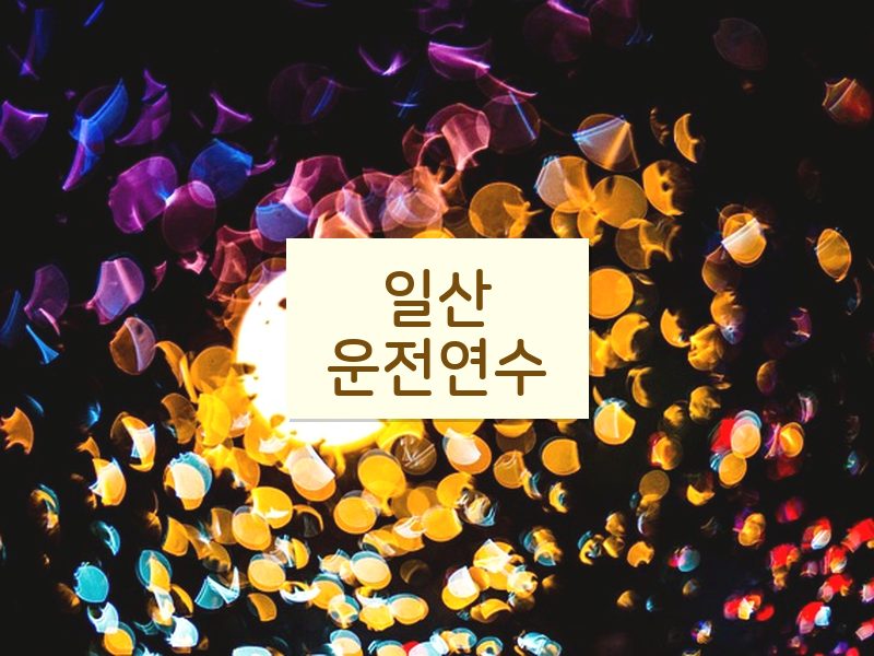 일산운전연수 후기