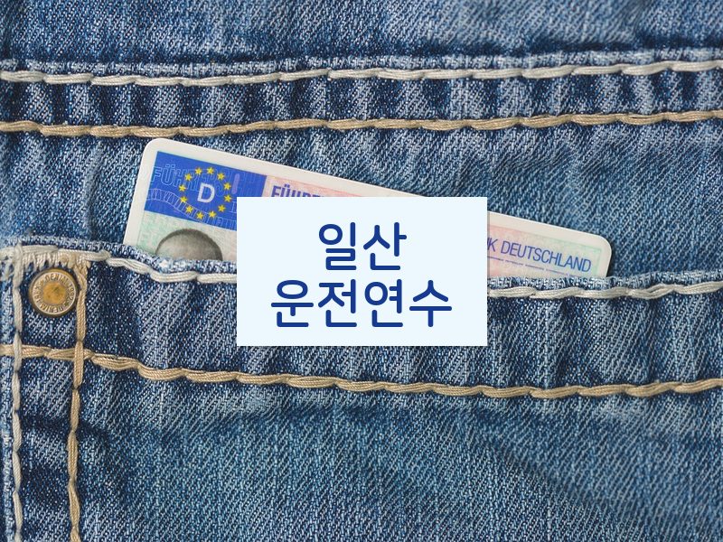 일산운전연수 후기