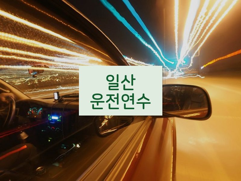 일산운전연수 후기