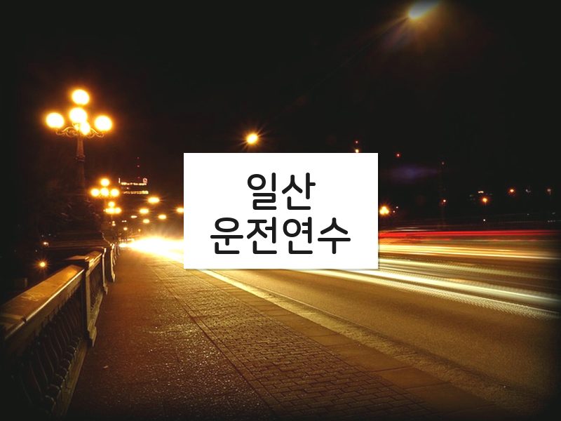 일산운전연수 후기