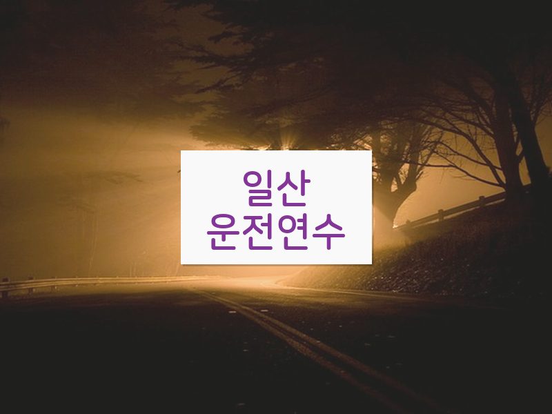 일산운전연수 후기