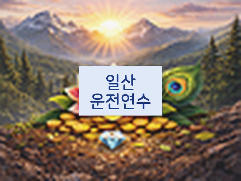 일산운전연수 후기