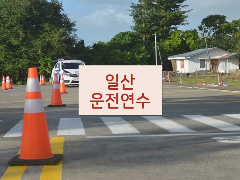 일산운전연수 후기