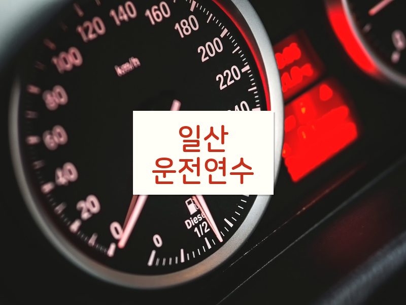 일산운전연수 후기
