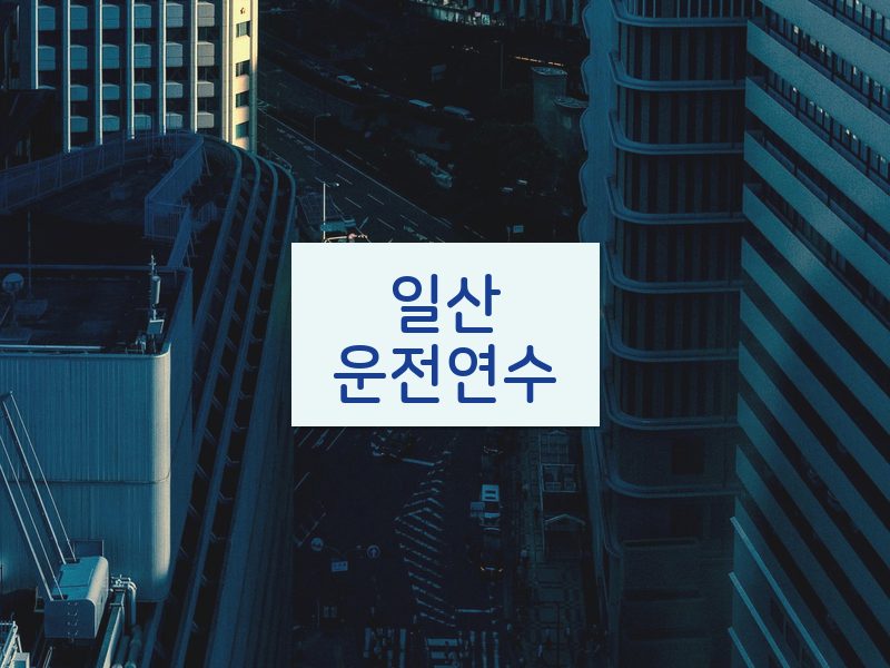 일산운전연수 후기