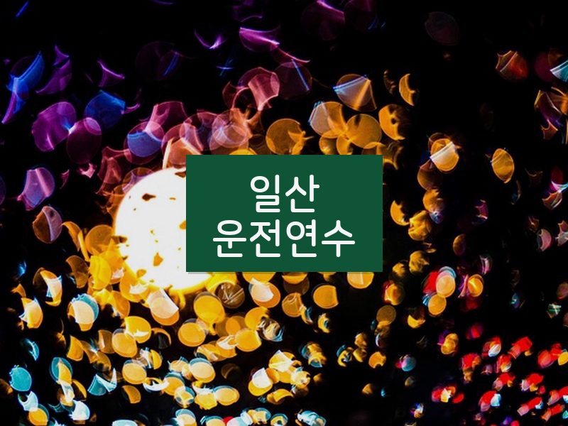 일산운전연수 후기