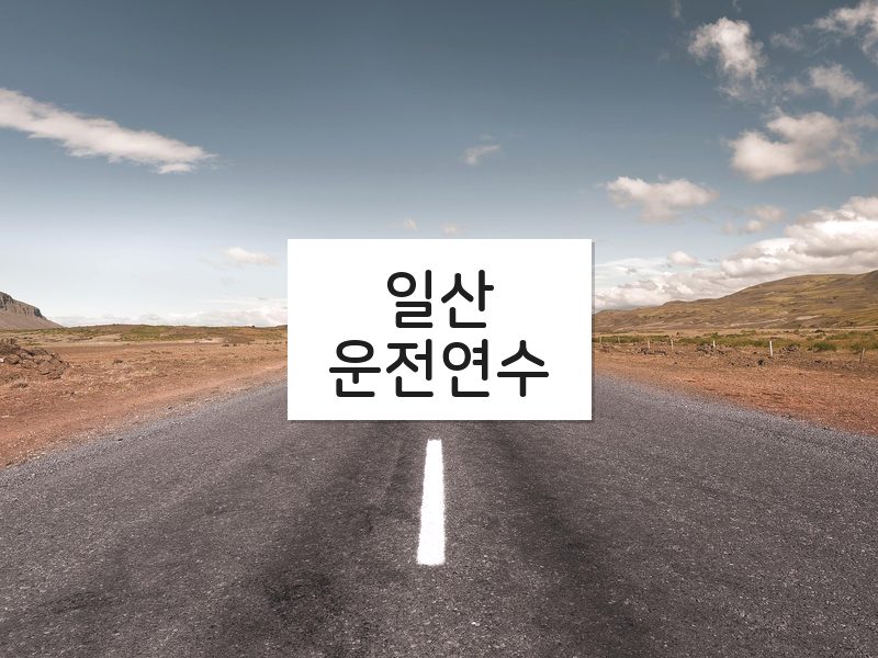 일산운전연수 후기