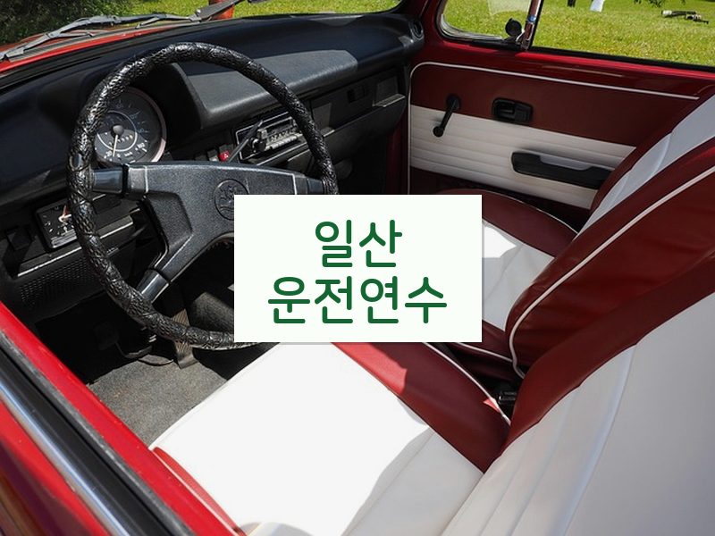 일산운전연수 후기