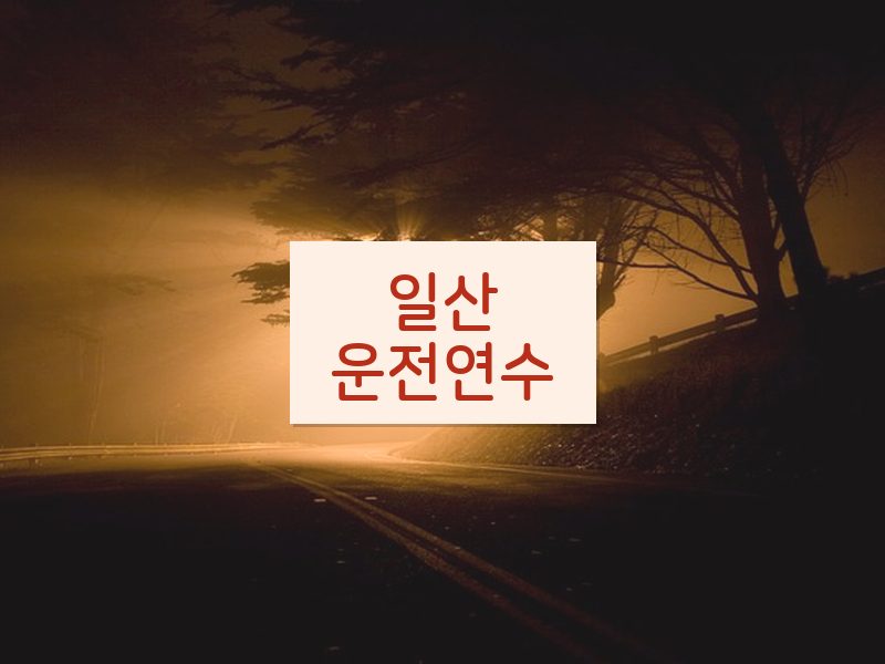 일산운전연수 후기
