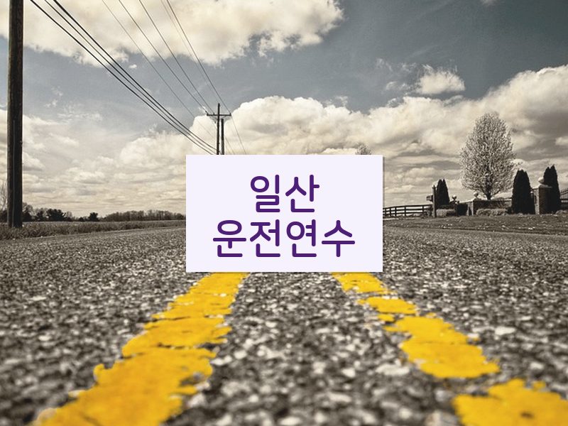 일산운전연수 후기