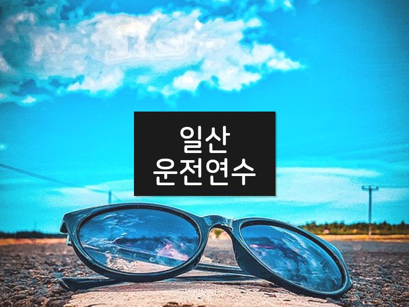 일산운전연수 후기