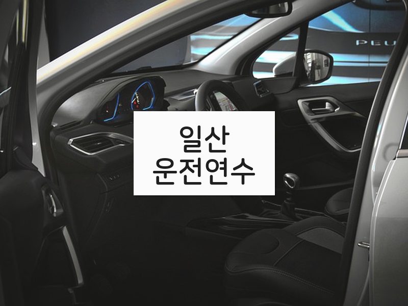 일산운전연수 후기