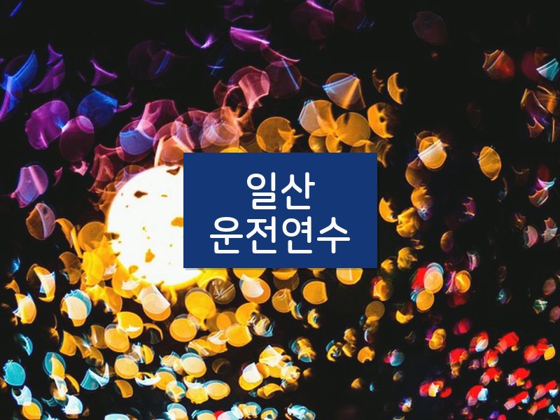 일산운전연수 후기