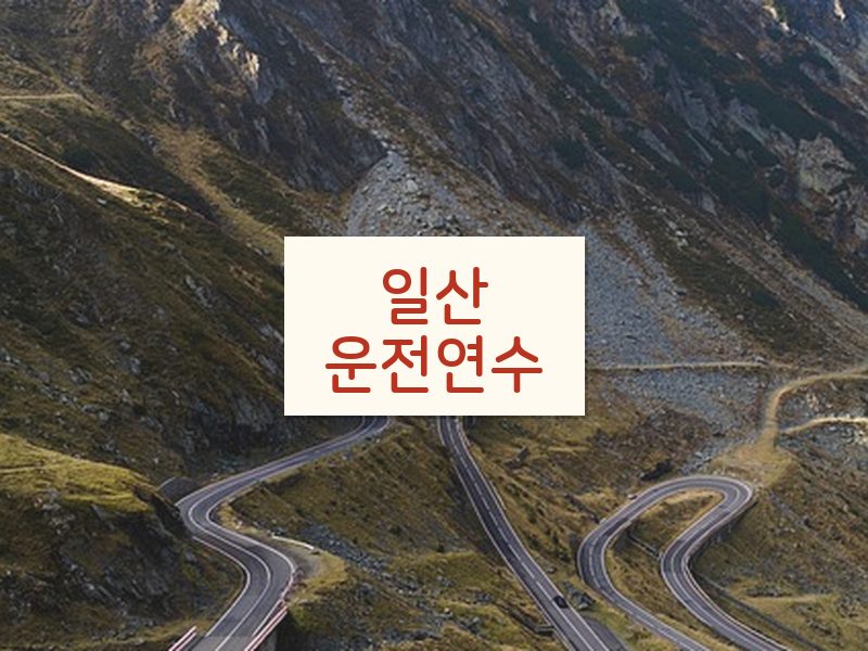 일산운전연수 후기