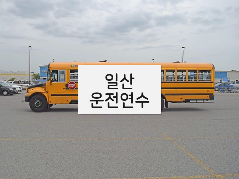 일산운전연수 후기