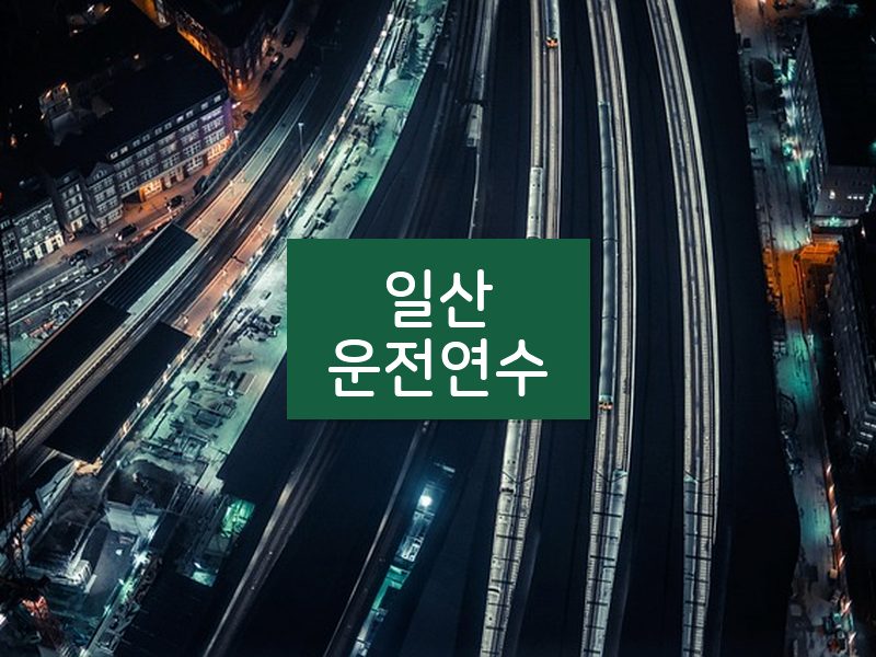 일산운전연수 후기
