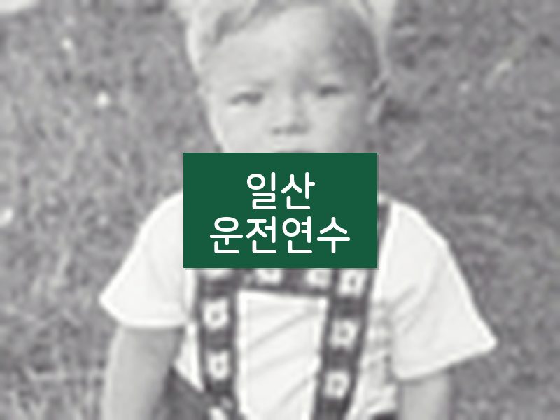 일산운전연수 후기