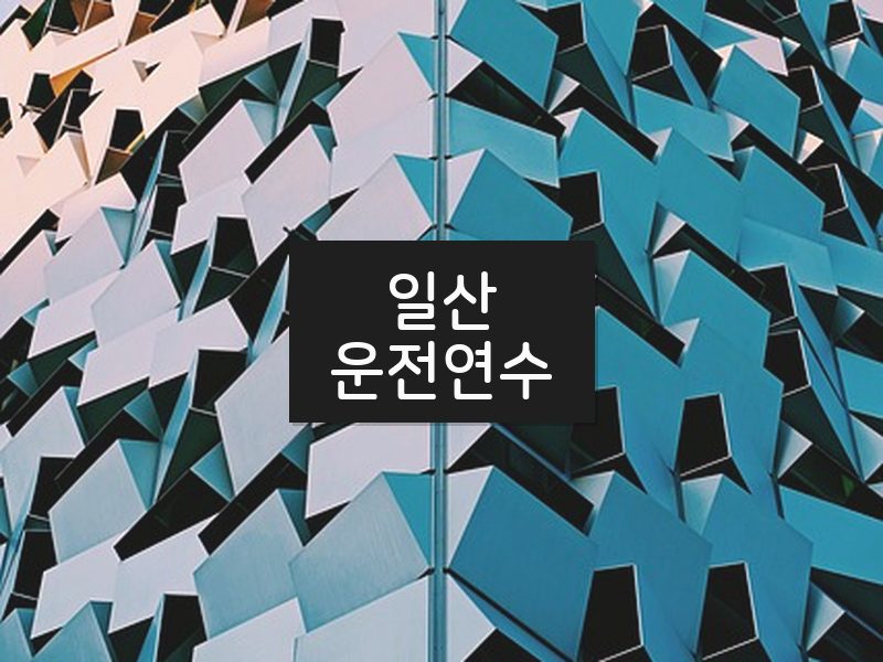 일산운전연수 후기
