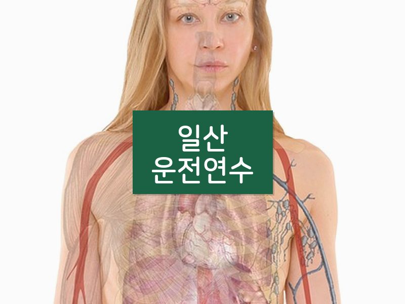 일산운전연수 후기
