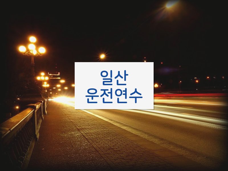 일산운전연수 후기