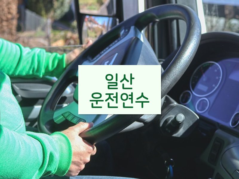 일산운전연수 후기