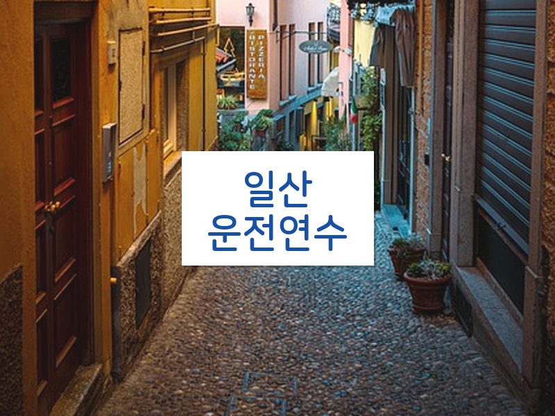 일산운전연수 후기