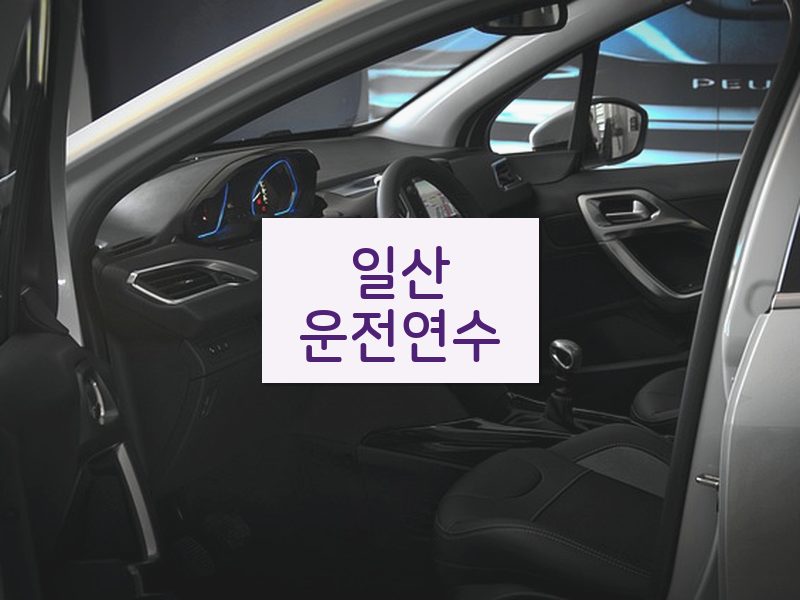 일산운전연수 후기