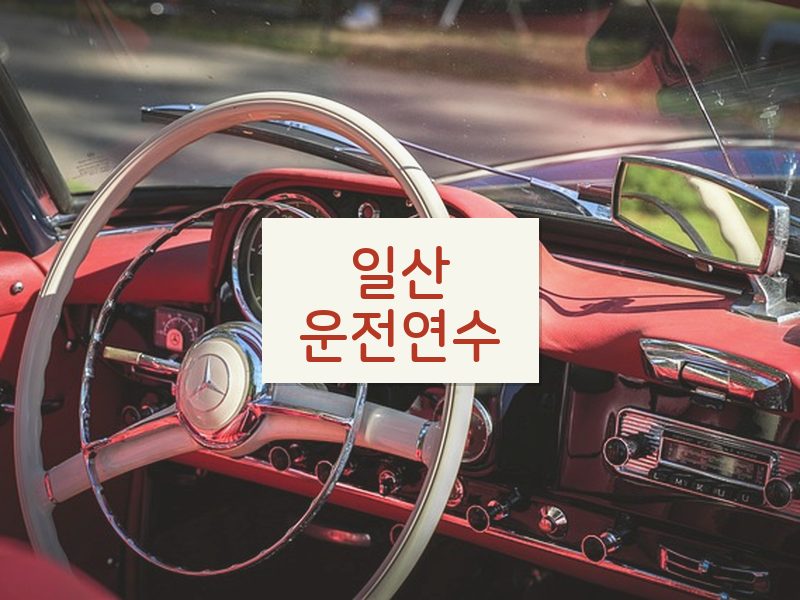 일산운전연수 후기