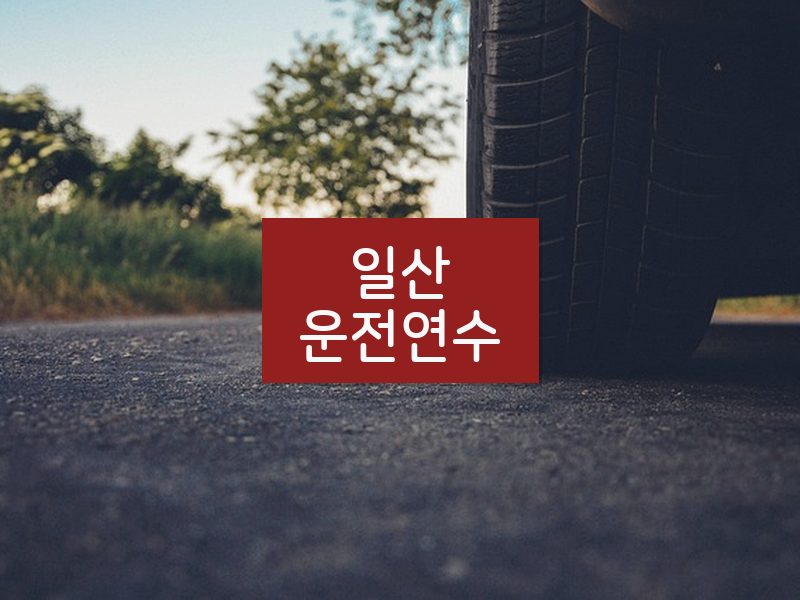 일산운전연수 후기