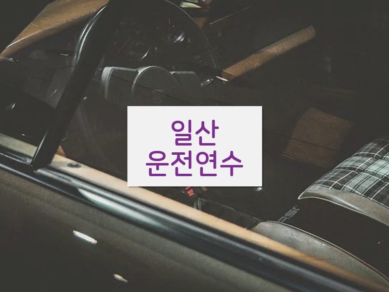 일산운전연수 후기