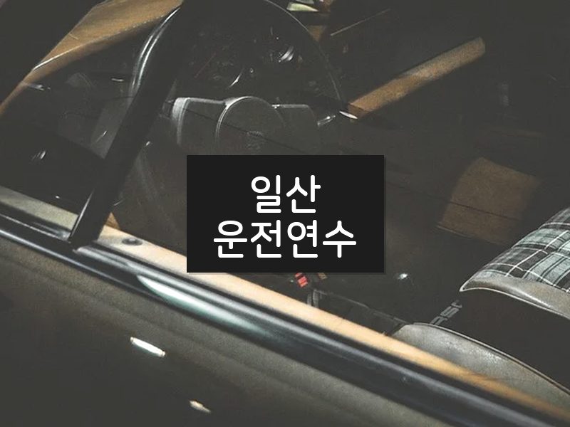 일산운전연수 후기