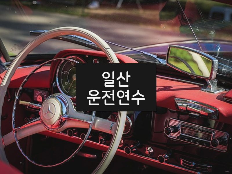 일산운전연수 후기