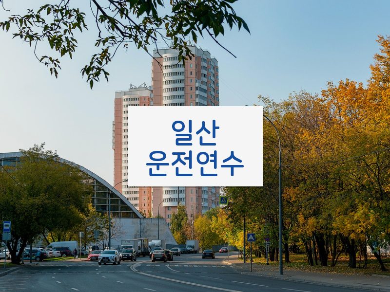 일산운전연수 후기