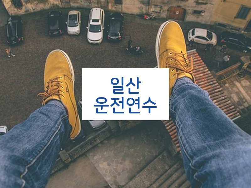 일산운전연수 후기