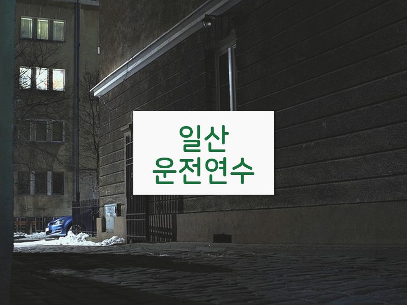 일산운전연수 후기