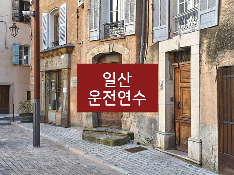 일산운전연수 후기