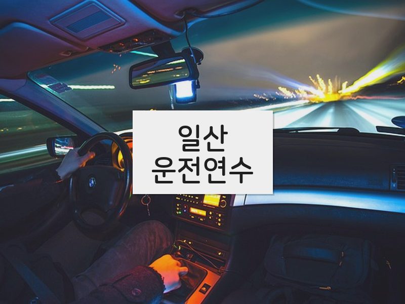 일산운전연수 후기