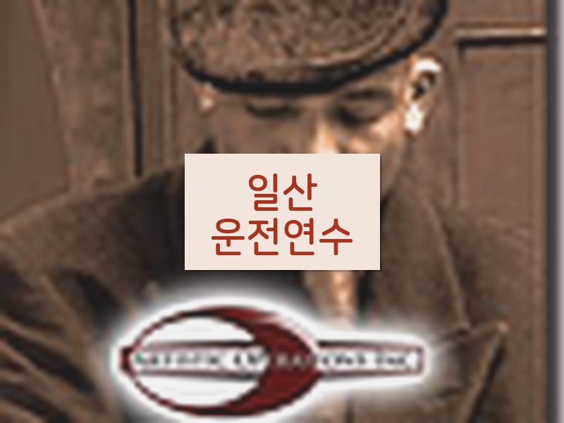 일산운전연수 후기