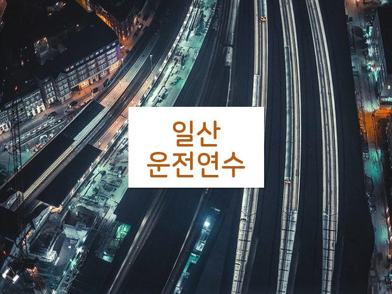 일산운전연수 후기
