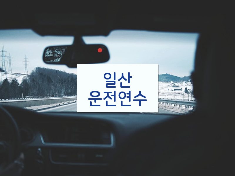 일산운전연수 후기