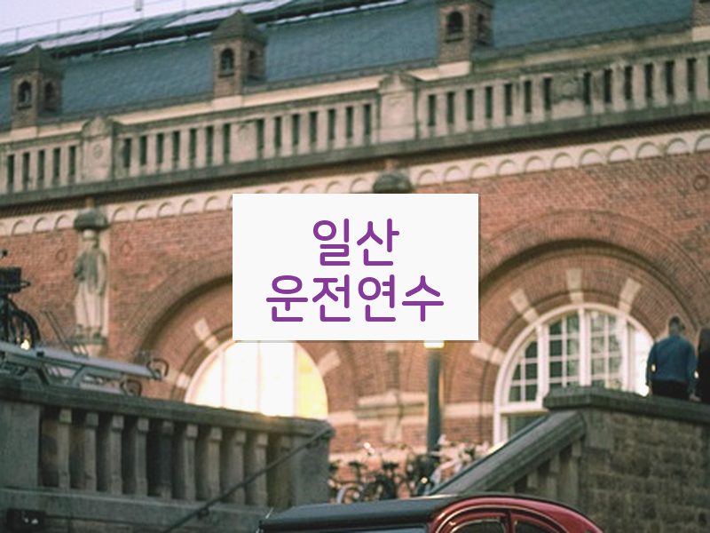 일산운전연수 후기