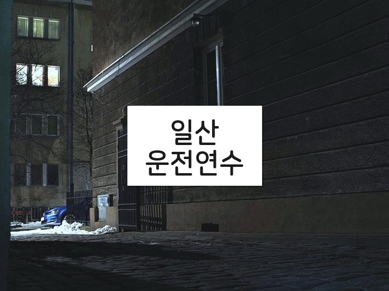 일산운전연수 후기
