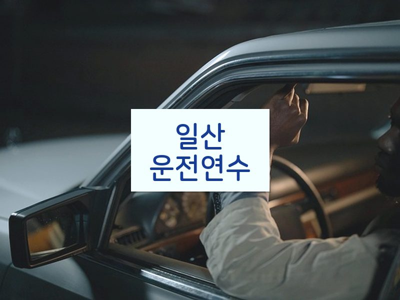 일산운전연수 후기
