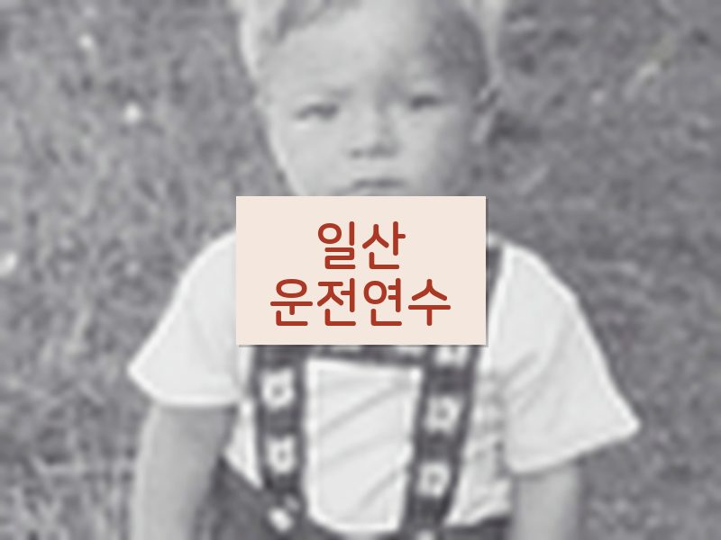 일산운전연수 후기