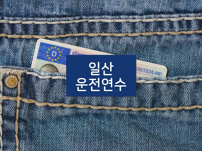 일산운전연수 후기