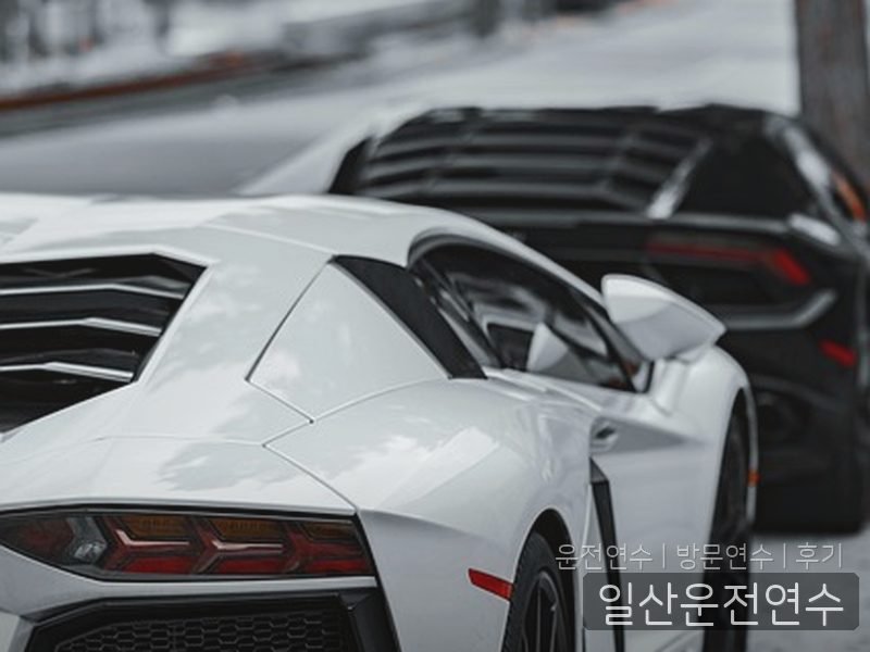 일산운전연수 후기