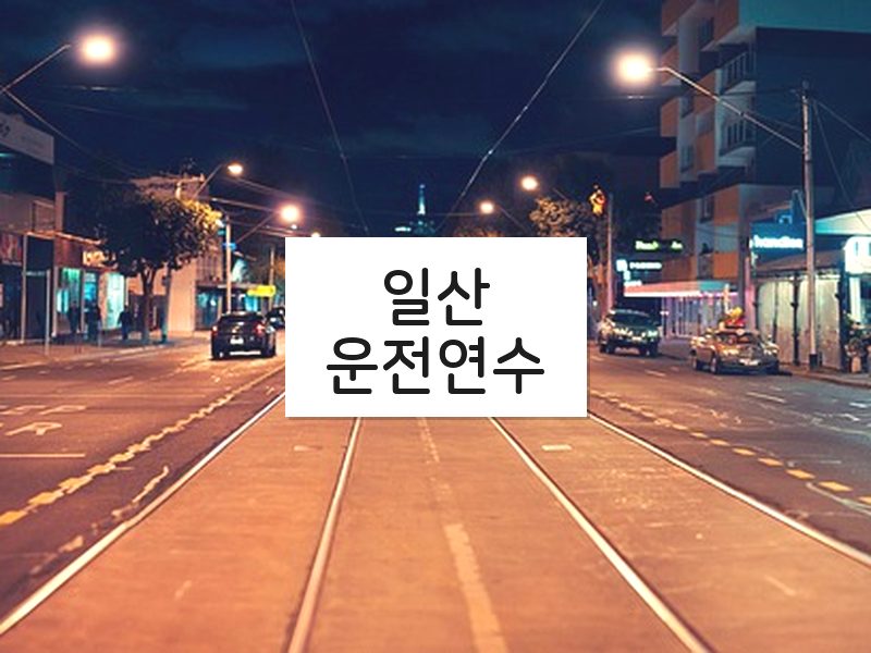 일산운전연수 후기