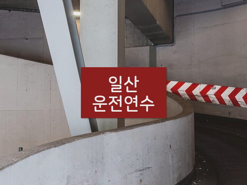 일산운전연수 후기