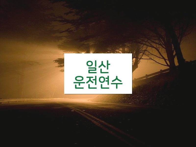 일산운전연수 후기