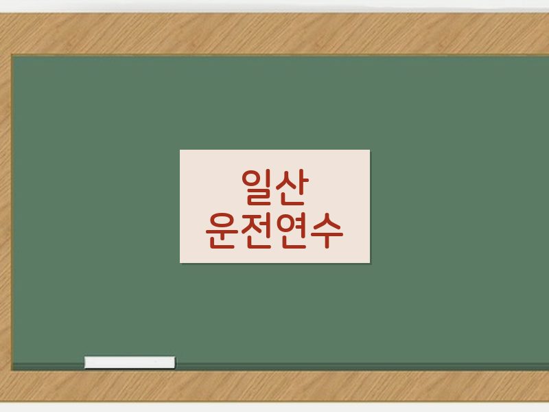 일산운전연수 후기